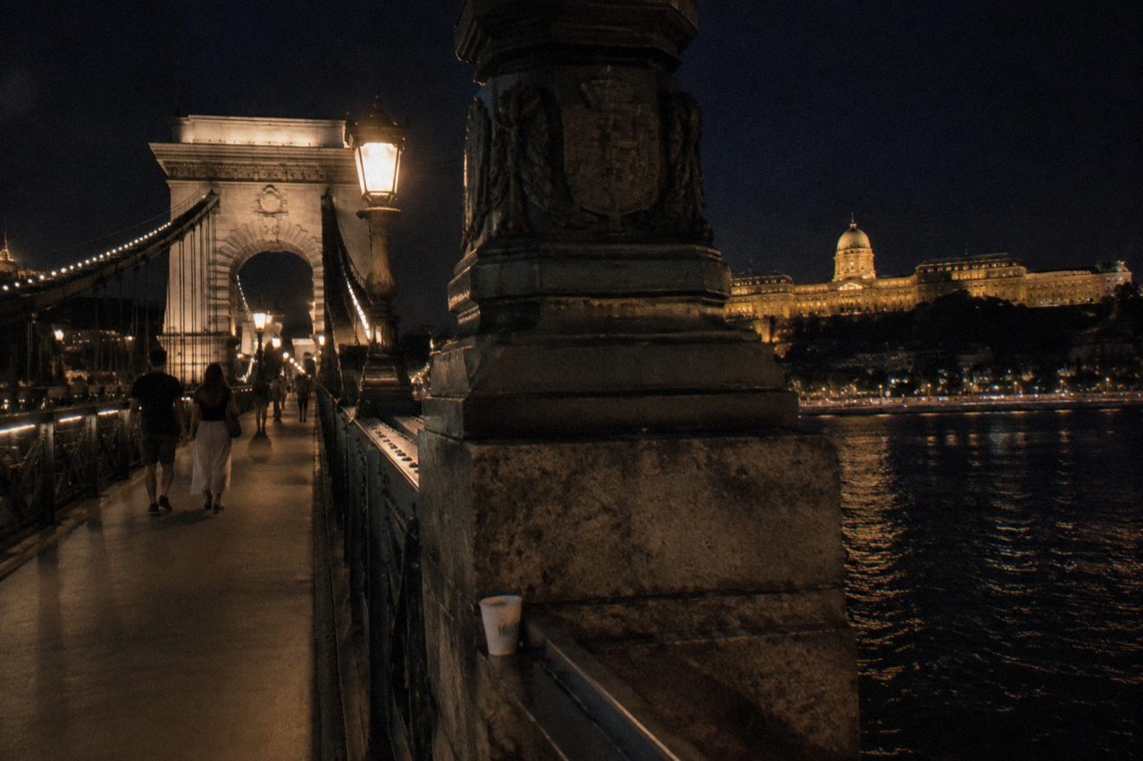 Illuminated domes and bridges of Budapest seen across the Danube after dark