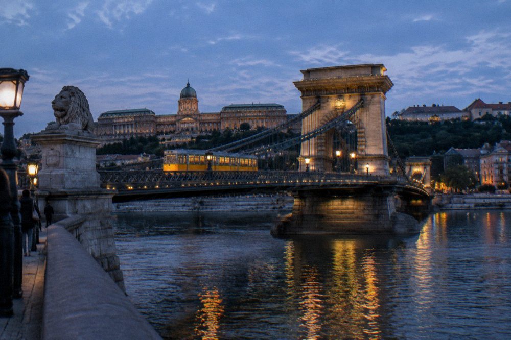 Trams and buses crossing the Danube below the castle hill in Budapest