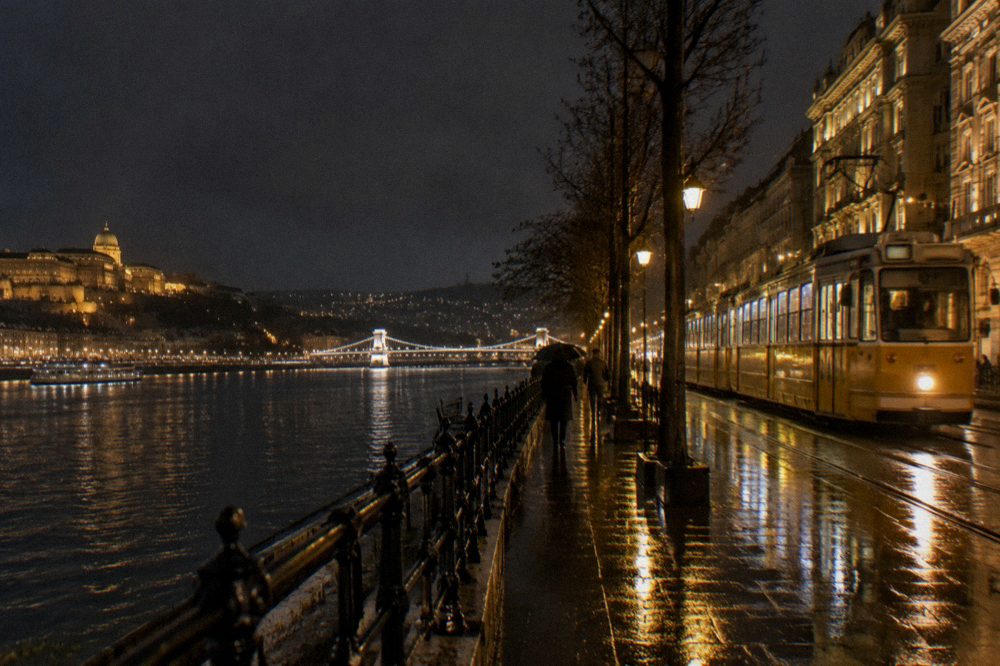 Budapest tram running along the lit riverfront at night