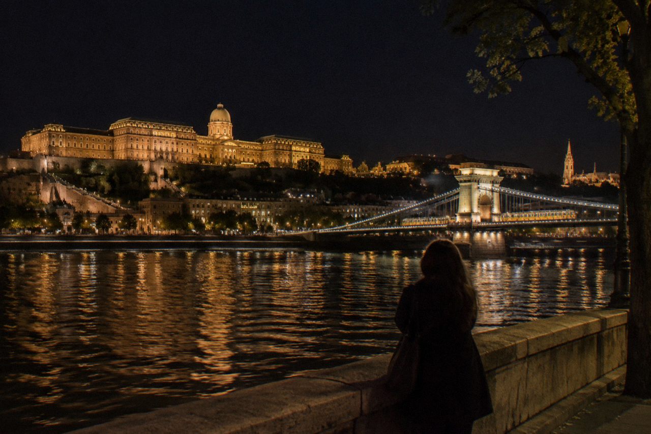 Illuminated Buda Castle and the Chain Bridge reflected in the Danube at night