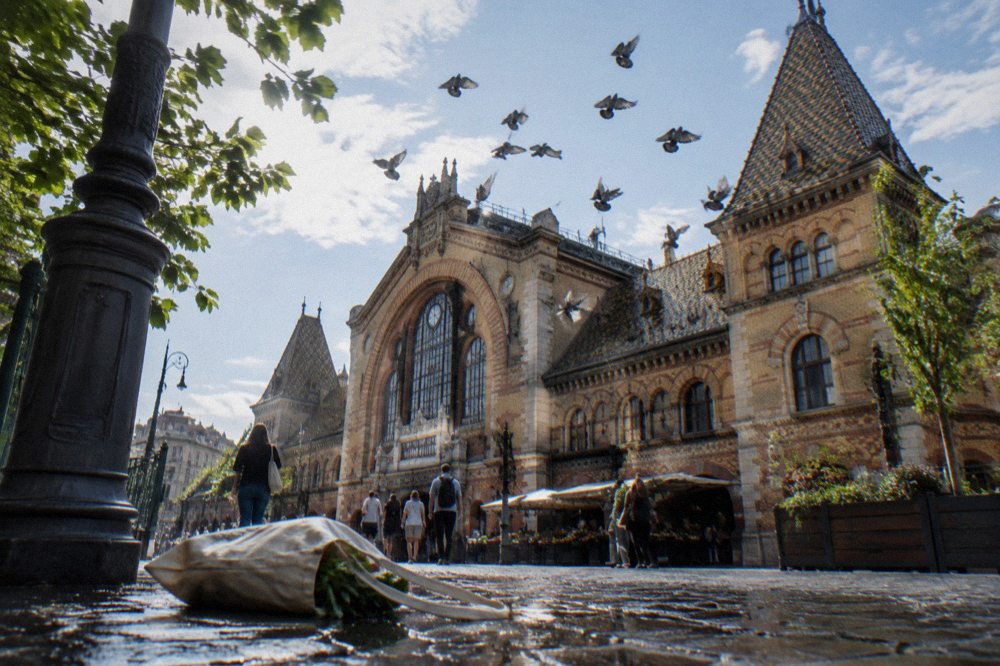 The iron framework and tiled roof of the Great Market Hall in Budapest above the market square.