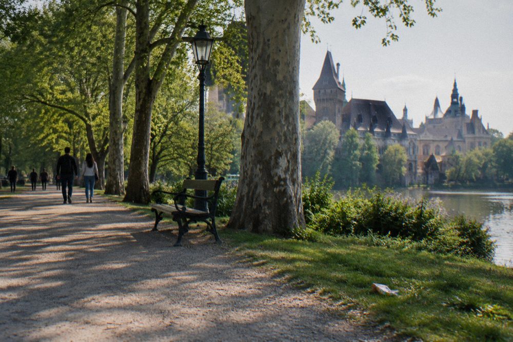 Wide open park path in Budapest with mature trees and city buildings in the distance