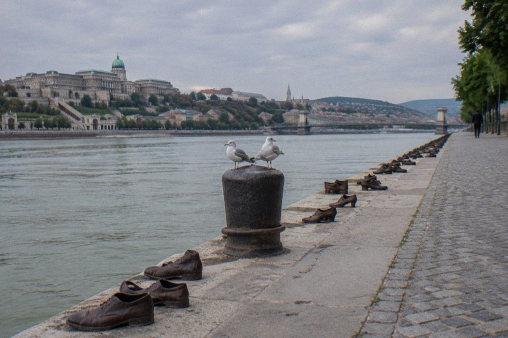 a quiet stretch of the stone Danube embankment with the river flowing past